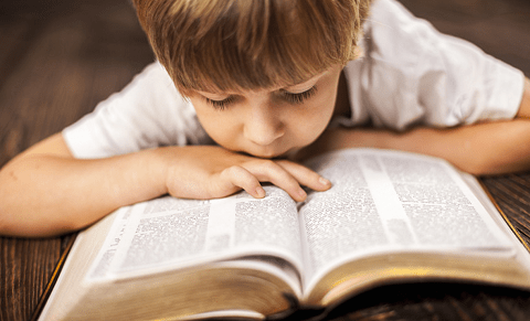 train them young, e-version