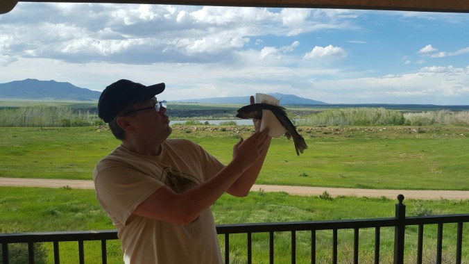 true testimony! June 3, 2109